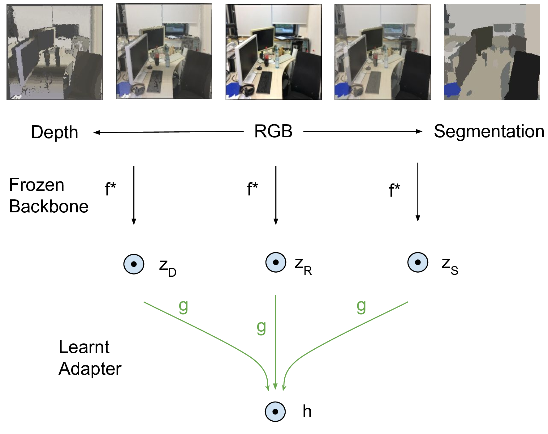 Omnivorous Vision Encoder architecture